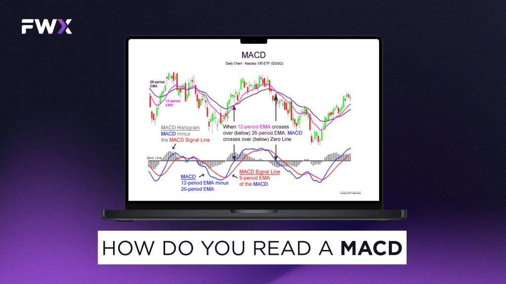 How do you read a MACD?